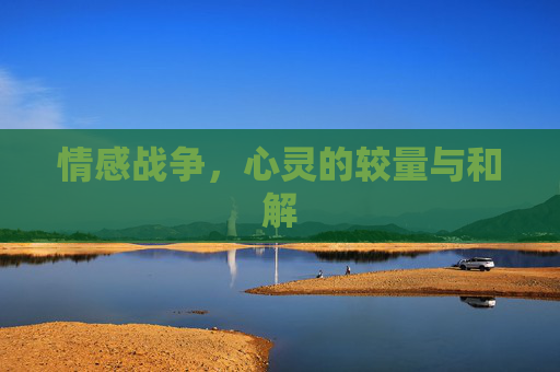 情感战争,心灵的较量与和解 情感战争,心灵的较量与和解