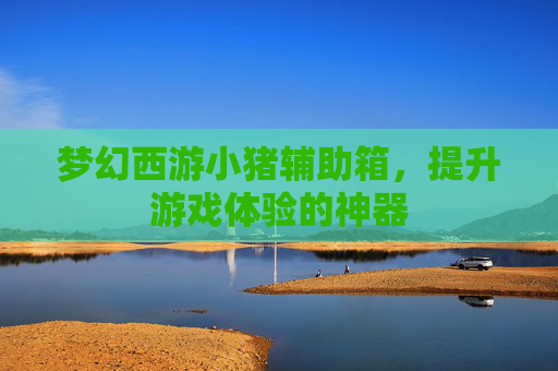 梦幻西游小猪辅助箱，提升游戏体验的神器