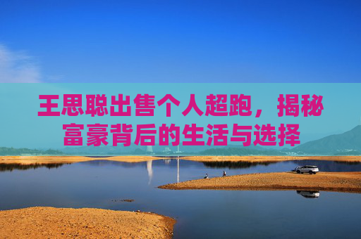 王思聪出售个人超跑，揭秘富豪背后的生活与选择