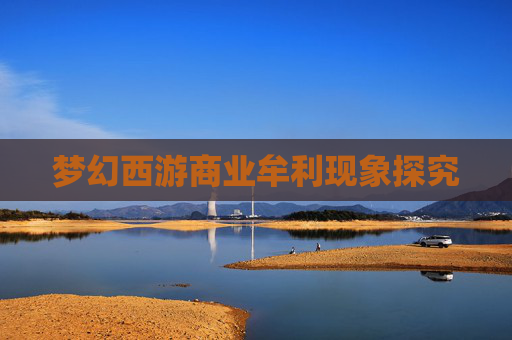 梦幻西游商业牟利现象探究 梦幻西游商业牟利现象探究