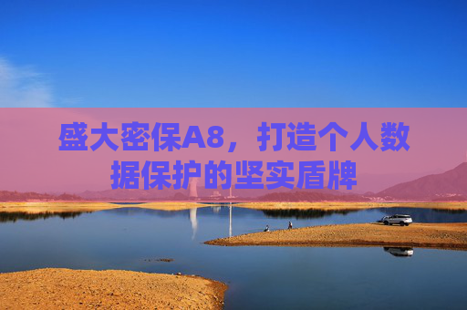 盛大密保A8,打造个人数据保护的坚实盾牌 盛大密保A8,打造个人数据保护的坚实盾牌