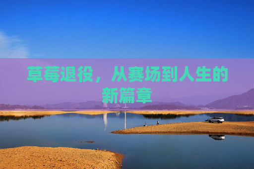 草莓退役,从赛场到人生的新篇章 草莓退役,从赛场到人生的新篇章