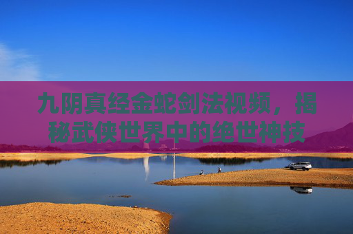 九阴真经金蛇剑法视频，揭秘武侠世界中的绝世神技