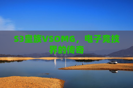S3皇族VSOMG,电子竞技界的传奇 S3皇族VSOMG,电子竞技界的传奇