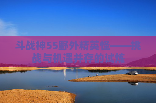 斗战神55野外精英怪——挑战与机遇并存的试炼