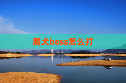 鹰犬boss怎么打