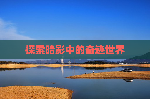 探索暗影中的奇迹世界 探索暗影中的奇迹世界