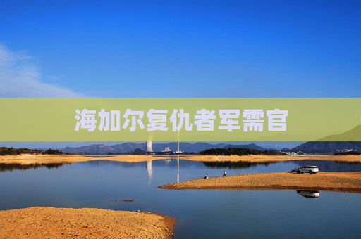 海加尔复仇者军需官
