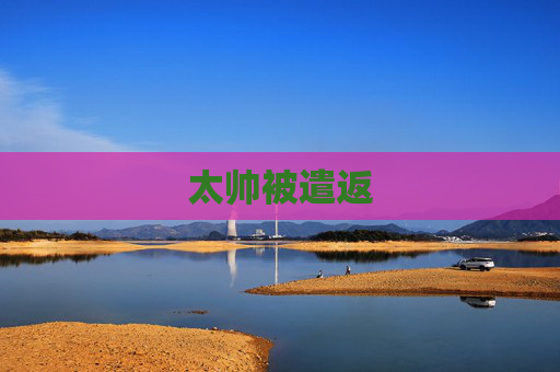 太帅被遣返