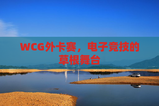 WCG外卡赛,电子竞技的草根舞台 WCG外卡赛,电子竞技的草根舞台