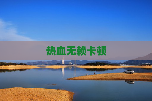 热血无赖卡顿 热血无赖卡顿