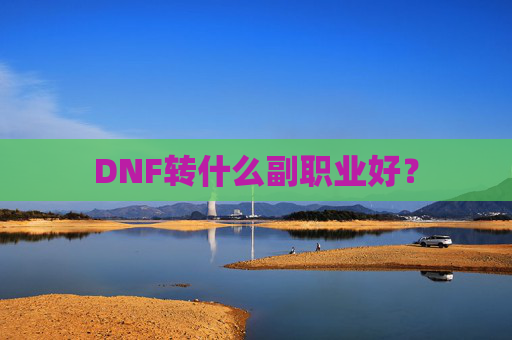 DNF转什么副职业好? DNF转什么副职业好?