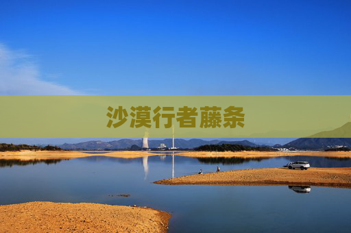 沙漠行者藤条 沙漠行者藤条