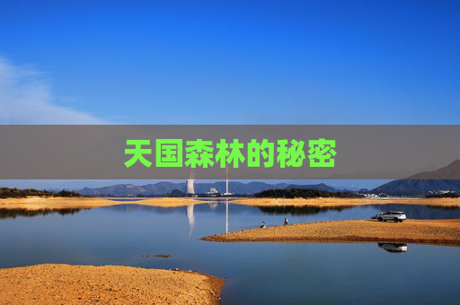 天国森林的秘密 天国森林的秘密
