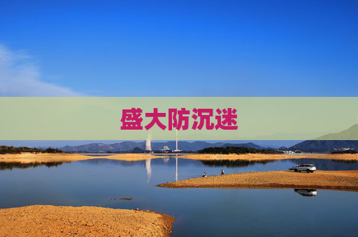 盛大防沉迷 盛大防沉迷
