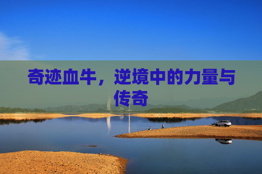 奇迹血牛,逆境中的力量与传奇 奇迹血牛,逆境中的力量与传奇