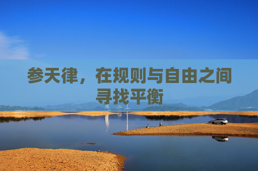 参天律,在规则与自由之间寻找平衡 参天律,在规则与自由之间寻找平衡