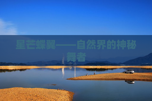 星芒蝶翼——自然界的神秘舞者