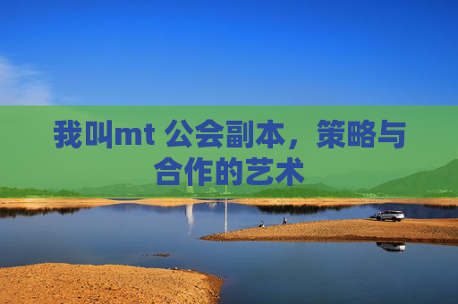 我叫mt 公会副本，策略与合作的艺术