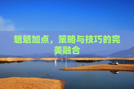 魍魉加点，策略与技巧的完美融合