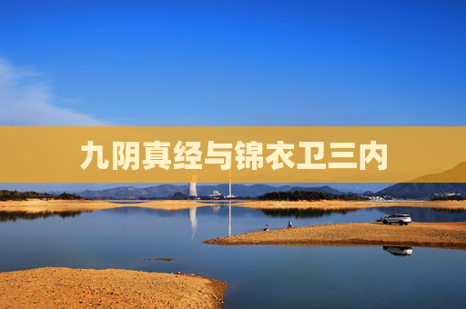九阴真经与锦衣卫三内 九阴真经与锦衣卫三内
