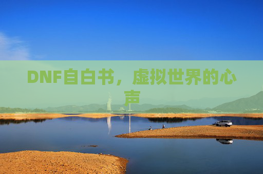 DNF自白书，虚拟世界的心声