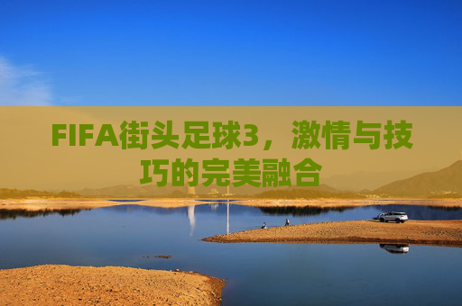 FIFA街头足球3,激情与技巧的完美融合 FIFA街头足球3,激情与技巧的完美融合
