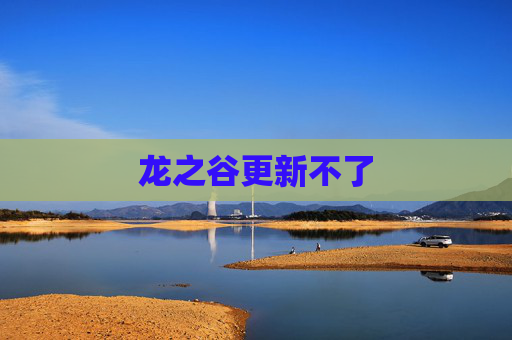 龙之谷更新不了