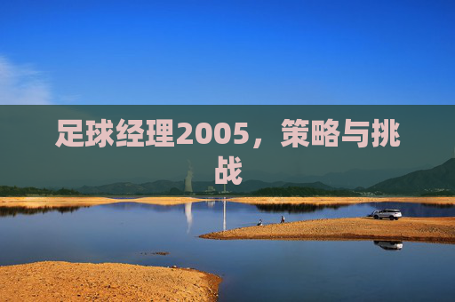 足球经理2005,策略与挑战 足球经理2005,策略与挑战
