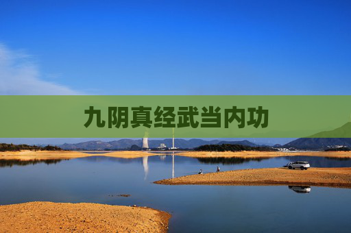 九阴真经武当内功