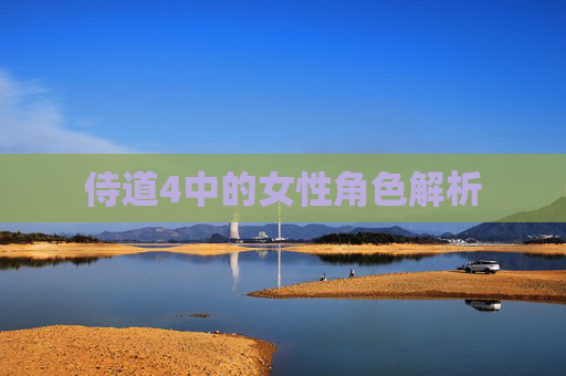 侍道4中的女性角色解析