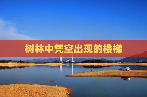 树林中凭空出现的楼梯 树林中凭空出现的楼梯