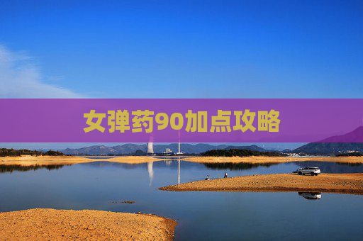 女弹药90加点攻略