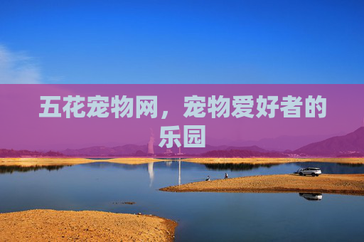 五花宠物网,宠物爱好者的乐园 五花宠物网,宠物爱好者的乐园