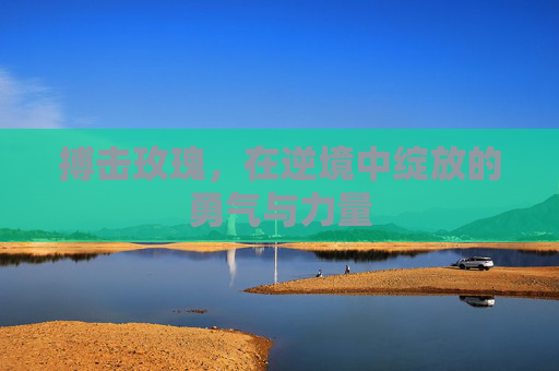 搏击玫瑰,在逆境中绽放的勇气与力量 搏击玫瑰,在逆境中绽放的勇气与力量
