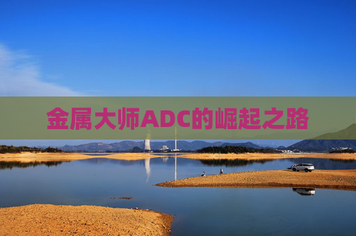 金属大师ADC的崛起之路 金属大师ADC的崛起之路