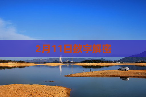 2月11日数字解密 2月11日数字解密