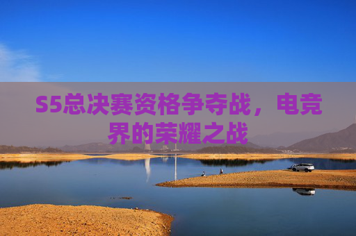 S5总决赛资格争夺战,电竞界的荣耀之战 S5总决赛资格争夺战,电竞界的荣耀之战