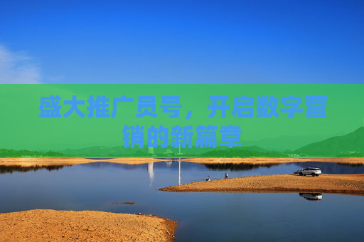 盛大推广员号,开启数字营销的新篇章 盛大推广员号,开启数字营销的新篇章