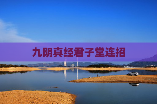 九阴真经君子堂连招