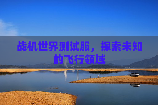 战机世界测试服,探索未知的飞行领域 战机世界测试服,探索未知的飞行领域
