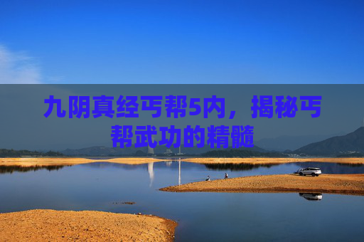 九阴真经丐帮5内,揭秘丐帮武功的精髓 九阴真经丐帮5内,揭秘丐帮武功的精髓