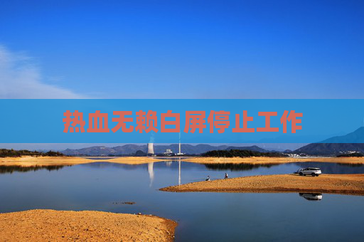 热血无赖白屏停止工作 热血无赖白屏停止工作