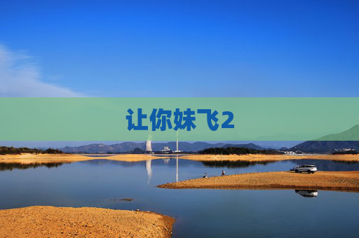 让你妹飞2
