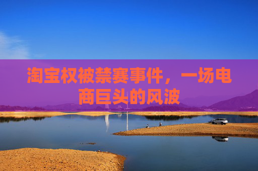 淘宝权被禁赛事件,一场电商巨头的风波 淘宝权被禁赛事件,一场电商巨头的风波