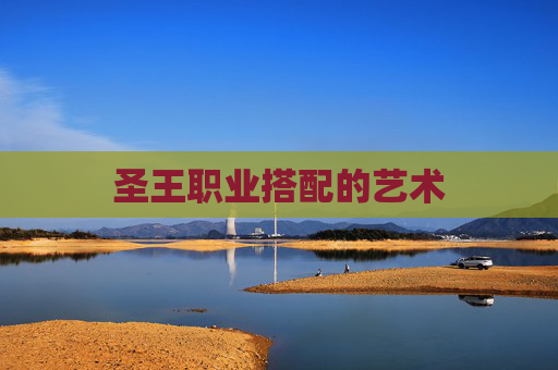 圣王职业搭配的艺术 圣王职业搭配的艺术