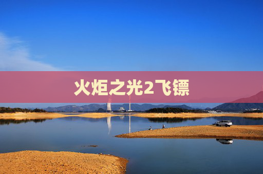火炬之光2飞镖