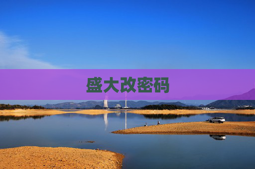 盛大改密码