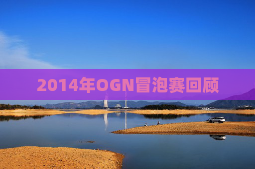 2014年OGN冒泡赛回顾 2014年OGN冒泡赛回顾