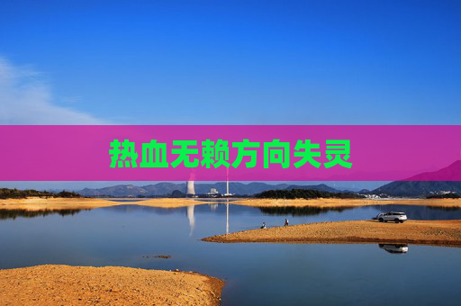 热血无赖方向失灵 热血无赖方向失灵